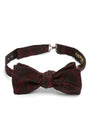 Burgundy Heathcote Paisley Cotton/Silk Bow Tie