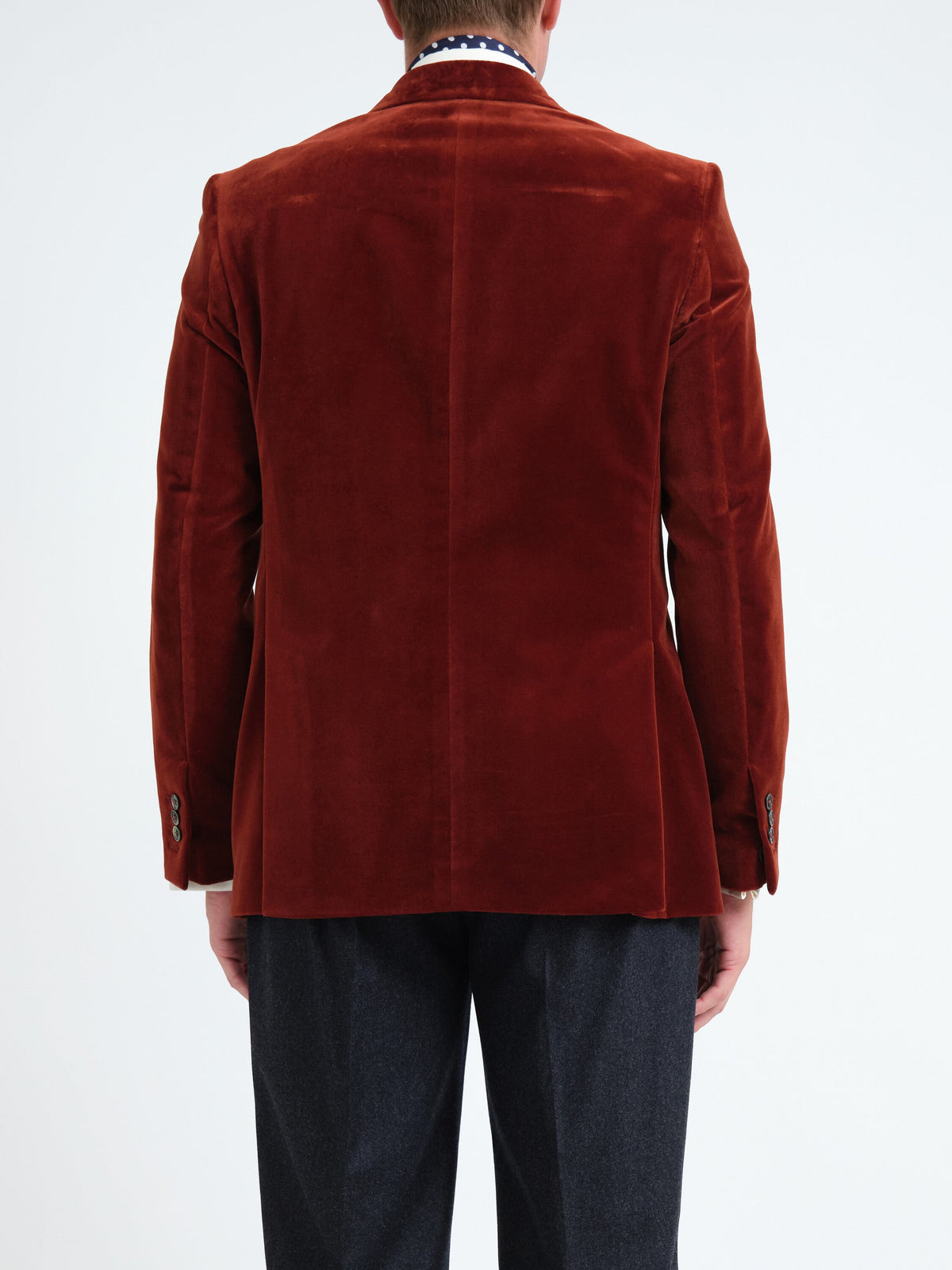 Rust Mayfair Velvet Newport Jacket with Ticket Pocket — back, cropped